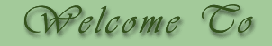 Welcome To